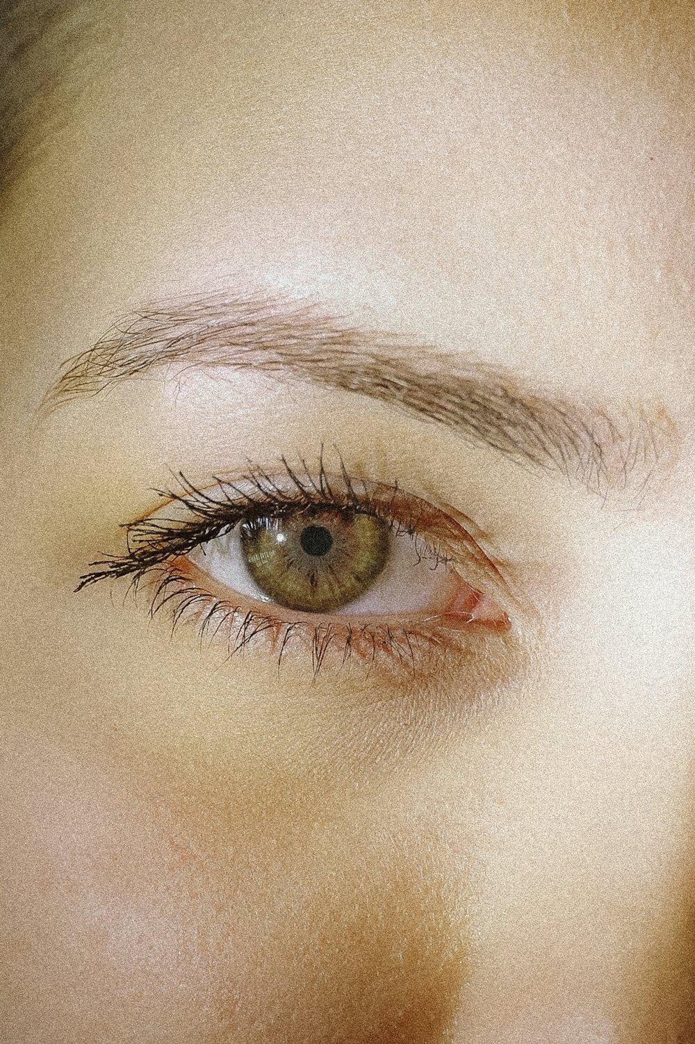 The State of Permanent Makeup in the US (2026)