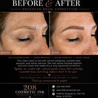 208 Cosmetic Ink - permanent makeup work