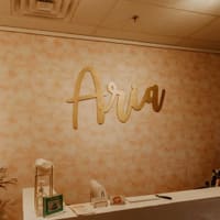 Aesthetics By Selena - permanent makeup work