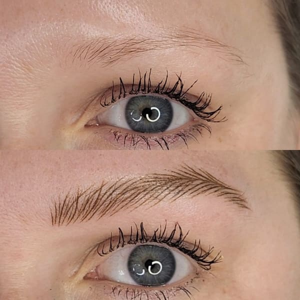 Agnes Knows Brows - permanent makeup in Naperville, IL