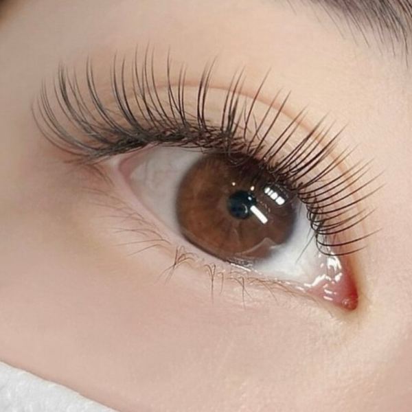 AMI ROSE BEAUTY LASH AND BROW - permanent makeup in Broomall, PA
