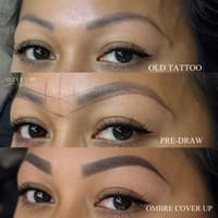 Amplify Brows Plus - permanent makeup work