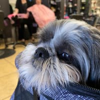 Amy's Hair Salon - permanent makeup work