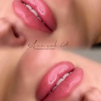 Ana Ink LA - permanent makeup work