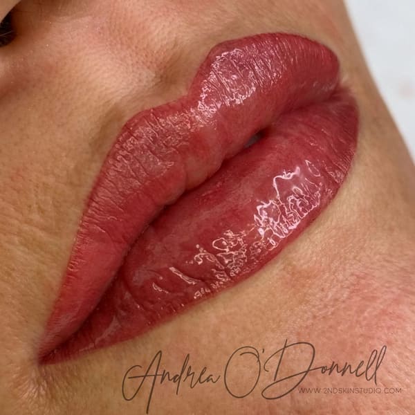 Andrea O'Donnell, Permanent Makeup Artist, 2nd Skin Studio - permanent makeup in Brighton, MI