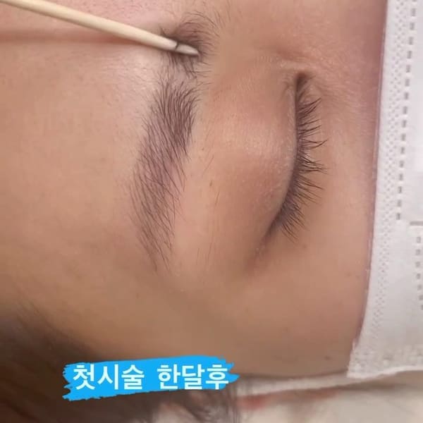 Annebrows (엘에이 반영구) - permanent makeup in Los Angeles, CA