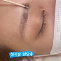 Annebrows (엘에이 반영구) - permanent makeup work