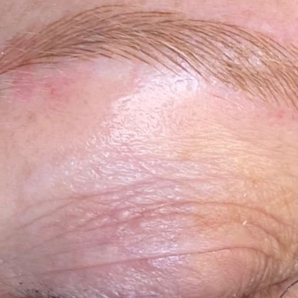 Arch Envy Eyebrow - permanent makeup in Tampa, FL