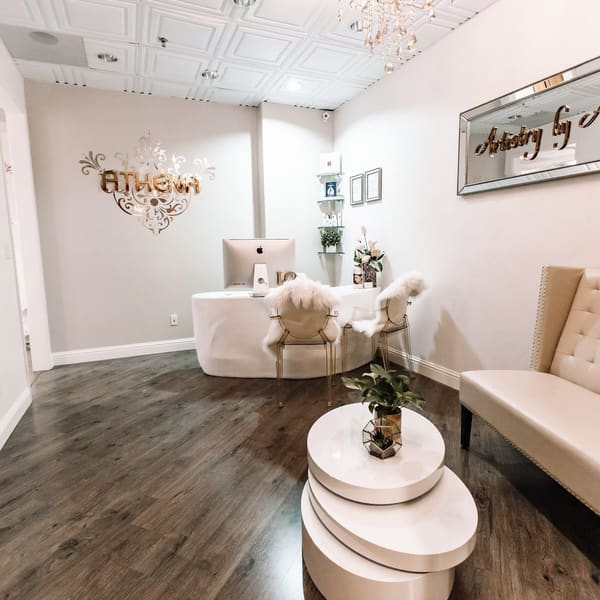Artistry by Athena Microblading Brows and Permanent Makeup - permanent makeup in Milpitas, CA