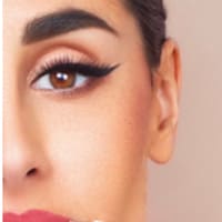 Artistry hair & cosmetic ink - permanent makeup work