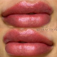 Arts Of Attraction - permanent makeup work