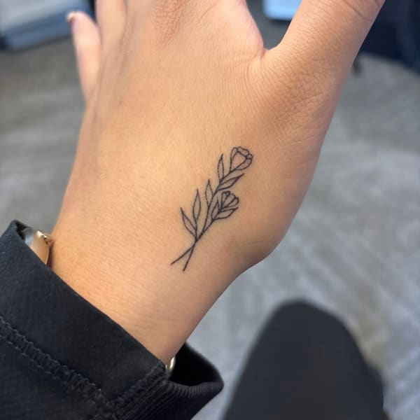 Balanced Beauty Cosmetic Tattoo Studio - permanent makeup in Charlotte, NC