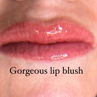 Beauty N Bliss LLC - permanent makeup work