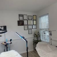 Belinda's Brows, LLC - permanent makeup work