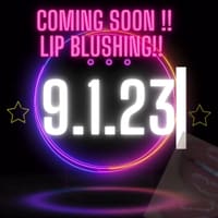 Bellaza Ink L.L.C. - permanent makeup work