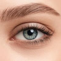 Berenice Beauty Brows - permanent makeup work