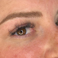 Bladed Brow - permanent makeup work