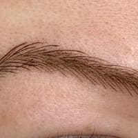 Bladed by Ray - permanent makeup work