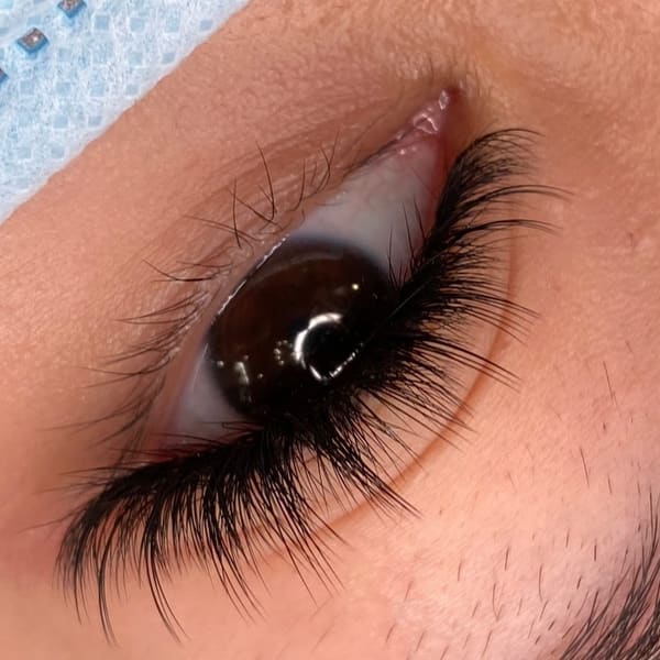 Blink Lavish Lash & Brow Studio - permanent makeup in Duluth, GA