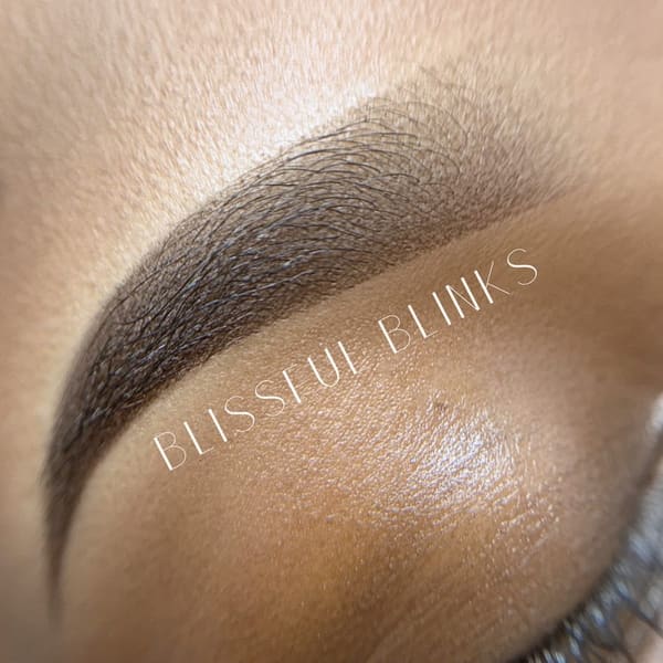 Blissful Blinks Lash & Brow Artistry - permanent makeup in Gainesville, FL