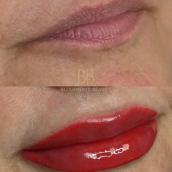 Bloodroot Beauty - permanent makeup in Oklahoma City, OK