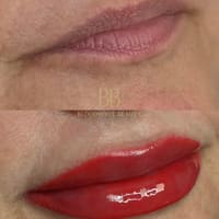 Bloodroot Beauty - permanent makeup work