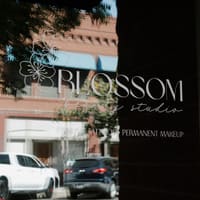 Blossom Beauty Studio - permanent makeup work