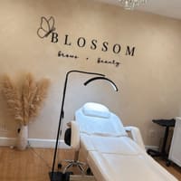 Blossom Brows Beauty - permanent makeup work