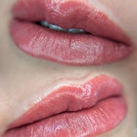 Blushed Beauty Lips⎮DFW Lip Blush, & Lip Neutralization - permanent makeup work