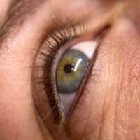 Bold Beauty by Maddie - permanent makeup work