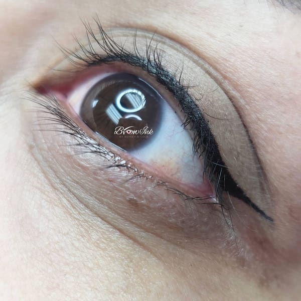 BROW ink - permanent makeup in Avon, IN