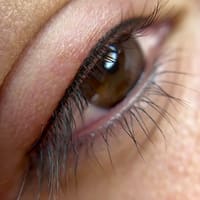 Brow lounge LV - permanent makeup work