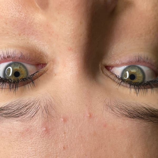 Brows And Lashes by Stefhiny - permanent makeup in Plano, TX