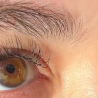 Brows Ave LLC - permanent makeup work