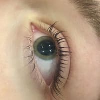 Brows & beauty - permanent makeup work