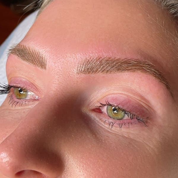 Brows by Ari - permanent makeup in Santa Rosa, CA