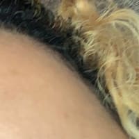 Brows by Jackie Narula - permanent makeup work