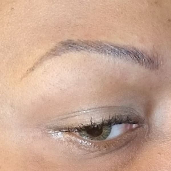 Browz Gone Wild, Permanent Makeup by Regina - permanent makeup in Yonkers, NY