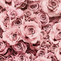 Caress brows LLC - permanent makeup work