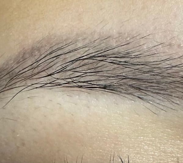 Christy's Lux Arch Studio - permanent makeup in Parma, OH