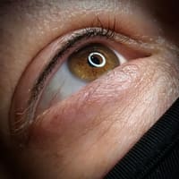 Cilona Ink - permanent makeup work