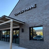 Copper + Mane Salons - permanent makeup work