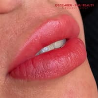 DECEMBER - PMU Beauty LLC - permanent makeup work