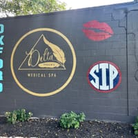 Delta Phoenix Aesthetic Medicine - permanent makeup work