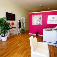 Diamond Rose Skin Care - permanent makeup work