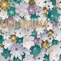 Dreamluxe Esthetics - permanent makeup work