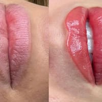Elane Skin Care and Cosmetics - permanent makeup work