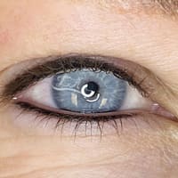 Elegant Arches - permanent makeup work
