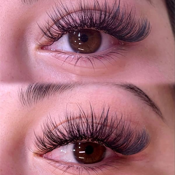 Elegant Lashes By Katie - permanent makeup in Irvine, CA