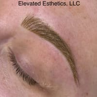 Elevated Esthetics - permanent makeup work